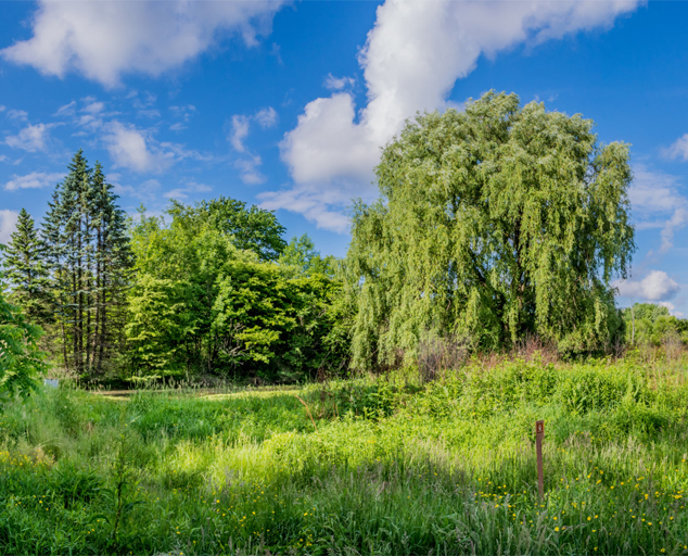 River Road Park Camp, Fish and Hike in Madison, Ohio. Lake Metroparks